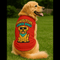 Golden retriever wearing PawTaaka red dog t-shirt with 'Pawsitive Vibes Only' print, ideal for pet apparel and daily wear.