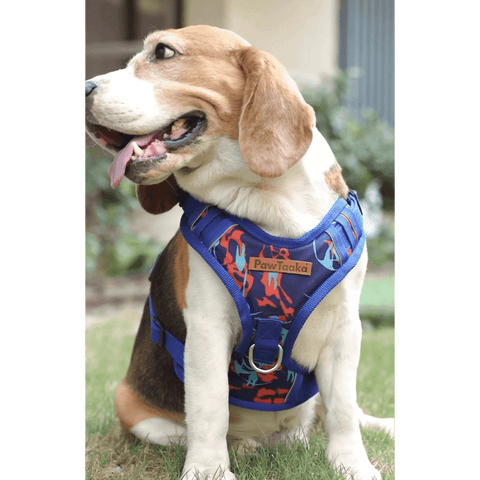 PawTaaka Reflective Camo Vest Harness – Blue & Orange (Adjustable, Padded & Durable)