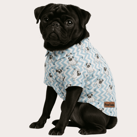 PawTaaka ZigZag Vibes Dog Shirt – Icy Blue Paws Edition