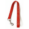 Leash