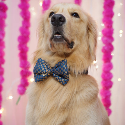 PawTaaka Festive Dog Bowtie – Adjustable, Stylish & Comfortable