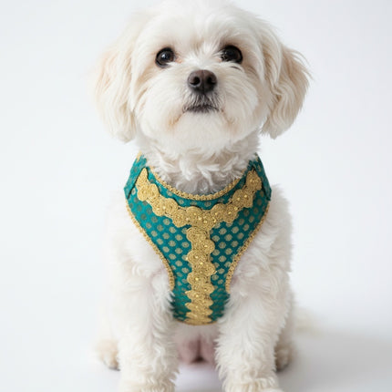 PawTaaka Luxe Festive Harness & Leash – Turquoise Green & Gold