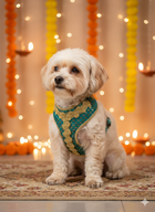 PawTaaka Luxe Festive Harness & Leash – Turquoise Green & Gold