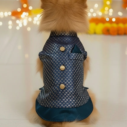 PawTaaka Blue Festive Dog Kurta – Ethnic Indian Outfit for Dogs