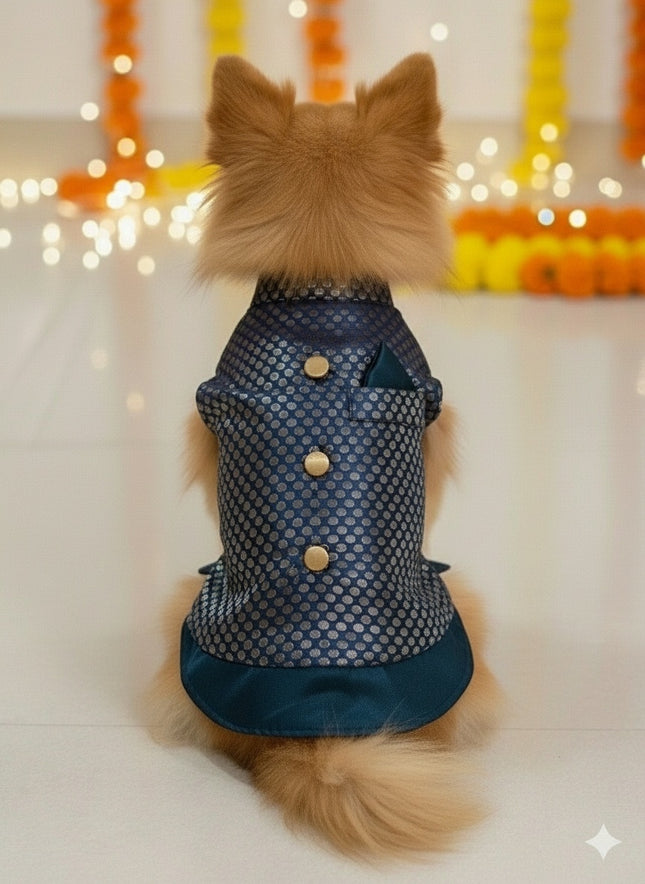 PawTaaka Blue Festive Dog Kurta – Ethnic Indian Outfit for Dogs