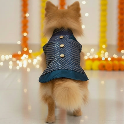 PawTaaka Blue Festive Dog Kurta – Ethnic Indian Outfit for Dogs