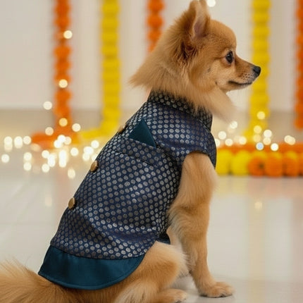 PawTaaka Blue Festive Dog Kurta – Ethnic Indian Outfit for Dogs