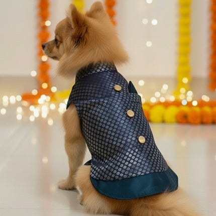 PawTaaka Blue Festive Dog Kurta – Ethnic Indian Outfit for Dogs