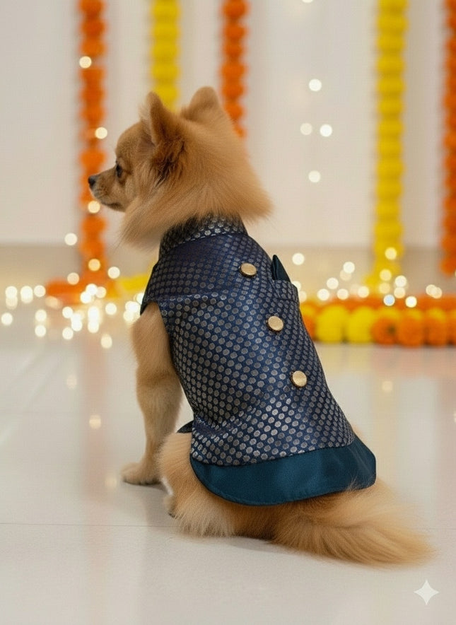 PawTaaka Blue Festive Dog Kurta – Ethnic Indian Outfit for Dogs