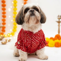Collection image for: Festive Wear
