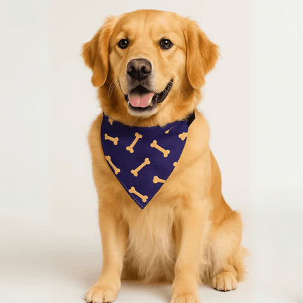 PawTaaka Everyday Dog Bandanas – Soft, Stylish & Perfect for Daily Struts