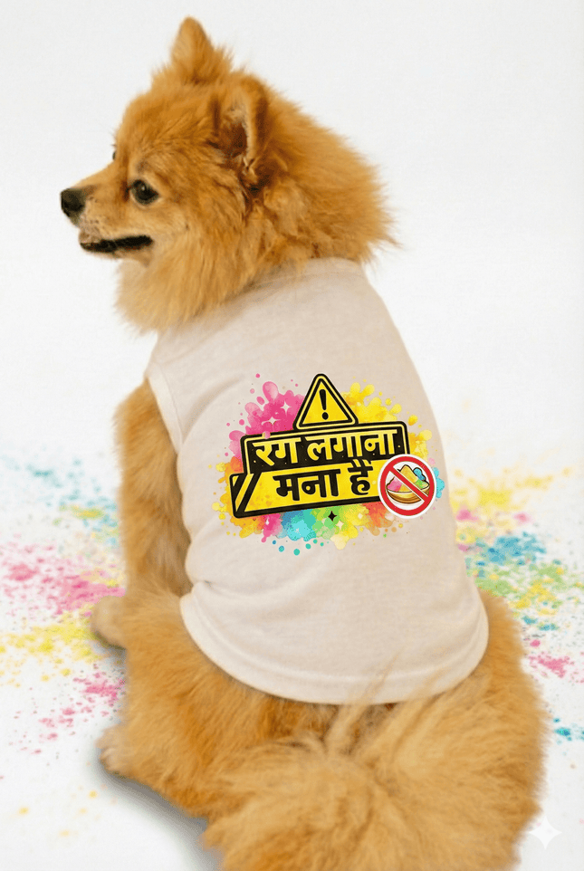 Small dog wearing a white shirt with colorful text and symbols on a white background