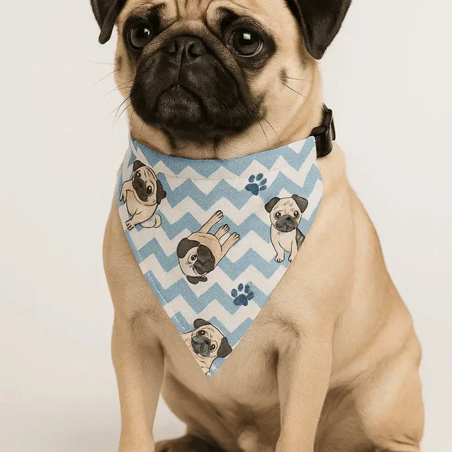 PawTaaka Everyday Dog Bandanas – Soft, Stylish & Perfect for Daily Struts
