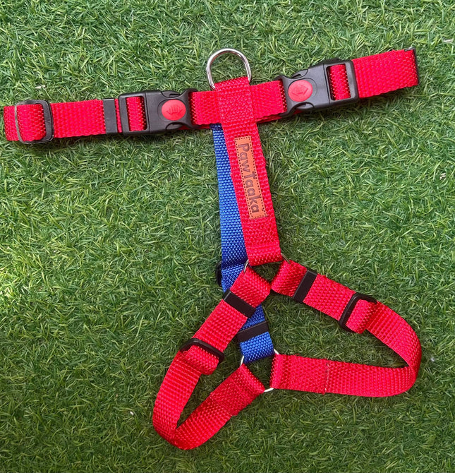 PawTaaka Red Blaze H Harness in bold red and blue nylon with adjustable straps and secure buckles, ideal for strong and active dogs.