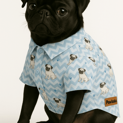 PawTaaka Dog Shirt – Pick Your Print from 4 Trendy Designs