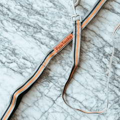 Sporty Dog Leash – Racer Stripe Orange & Grey by PawTaaka featuring a durable metal clasp and stylish striped design, ideal for active pets.