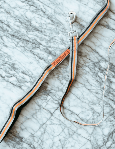 PawTaaka Racer Stripe Dog Leash – Orange & Grey