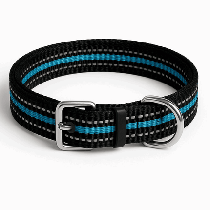 Reflective dog collar in black and blue nylon with metal buckle and D-ring, ideal for safe night walks and city adventures.