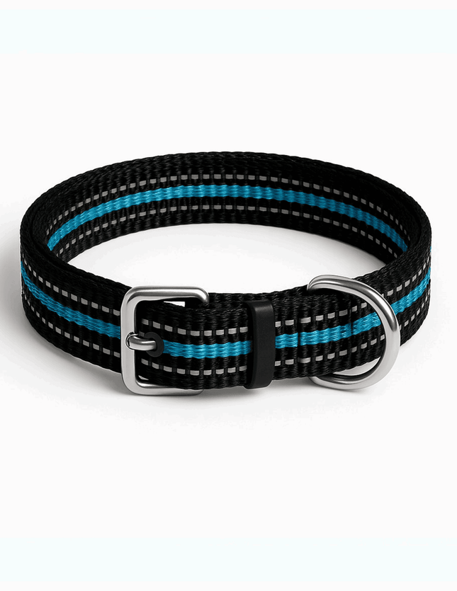 Reflective dog collar in black and blue nylon with metal buckle and D-ring, ideal for safe night walks and city adventures.