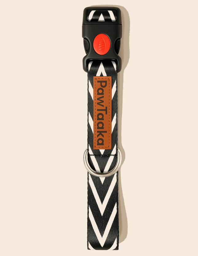 Black dog collar with chevron print and red safety buckle, featuring PawTaaka logo tag. Adjustable and durable for everyday pet use.