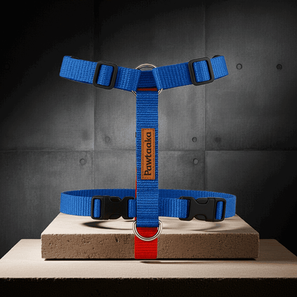 PawTaaka Blue Rush H Harness displayed on a pedestal with modern background, highlighting its sleek design and adjustable fit for dogs.