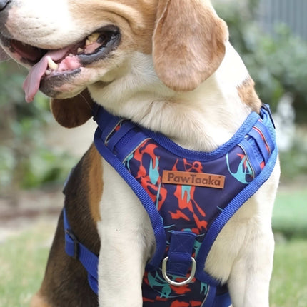 Close-up of a beagle in the PawTaaka Reflective Camo Vest Harness – Blue & Orange, highlighting the durable build and reflective trim design.