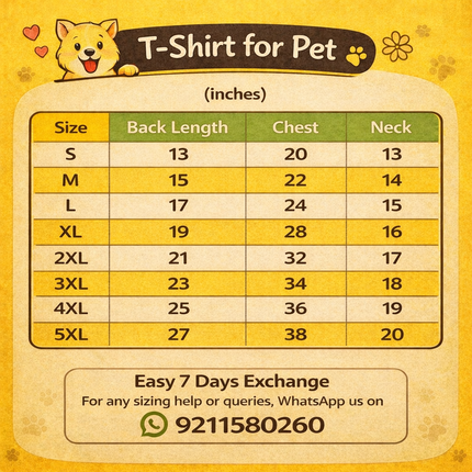 PawTaaka Holi Paws & Play Box – Festive Pet T-Shirt, Toy, Organic Gulal & Treats Kit