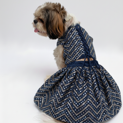 PawTaaka Sequined Lehenga Choli for Dogs & Cats | Premium Festive Ethnic Wear