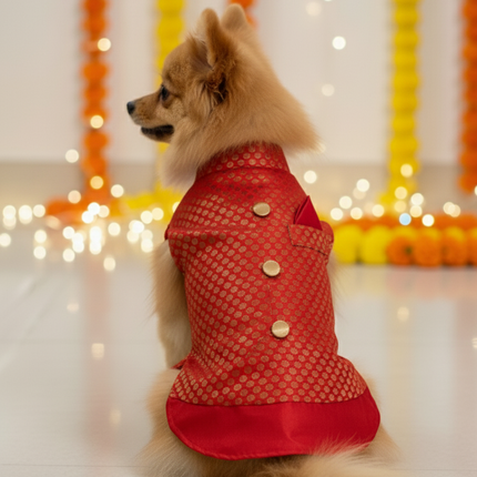PawTaaka Red Festive Dog Kurta – Ethnic Indian Outfit for Dogs