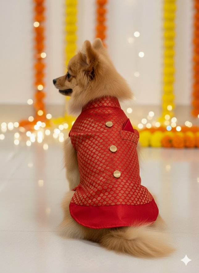 PawTaaka Red Festive Dog Kurta – Ethnic Indian Outfit for Dogs