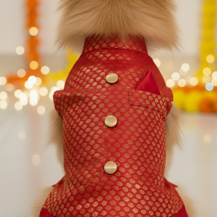 PawTaaka Red Festive Dog Kurta – Ethnic Indian Outfit for Dogs