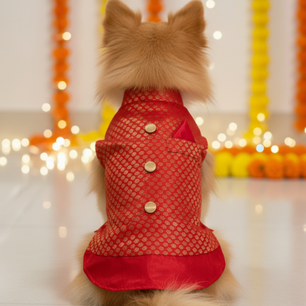 PawTaaka Red Festive Dog Kurta – Ethnic Indian Outfit for Dogs