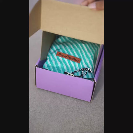 Kurta + Rakhi Combo for Dogs – Celebrate Rakhi in Style with a green striped festive kurta labeled 'PawTaaka' and a handcrafted rakhi in a gift box.