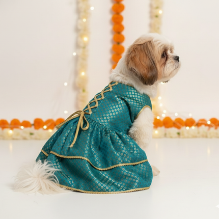 PawTaaka Teal Brocade Pet Lehenga –  Wedding & Festive Dress for Dogs