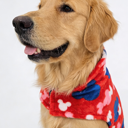 Combo of 2 Reversible Winter Jackets - 4 Looks in 1 + FREE Bow