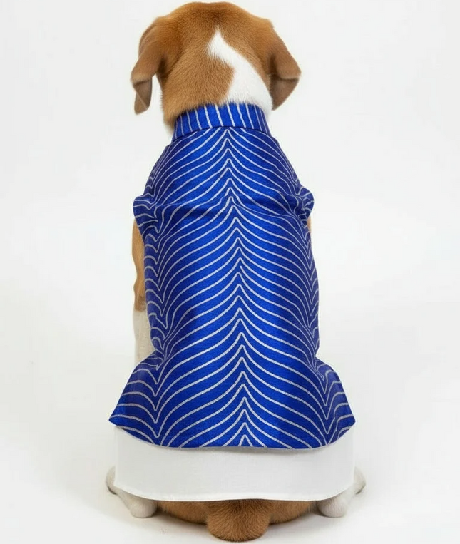 PawTaaka Luxe Gota Koti & Cotton Kurta Set for Dogs