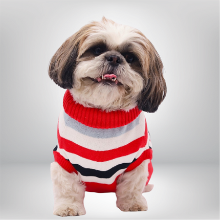 PawTaaka Cozy Red Stripe Winter Sweater for Dogs & Cats
