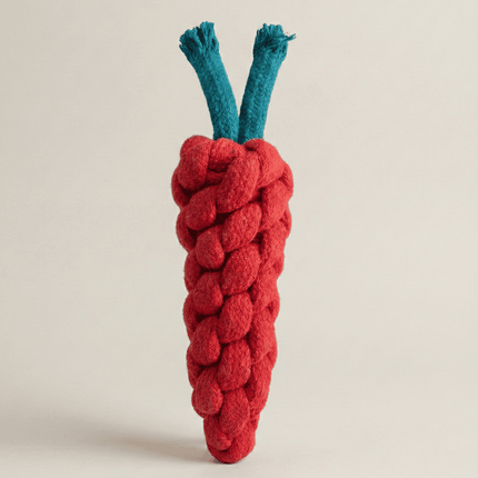 PawTaaka Holi Pawsome Bandana Box