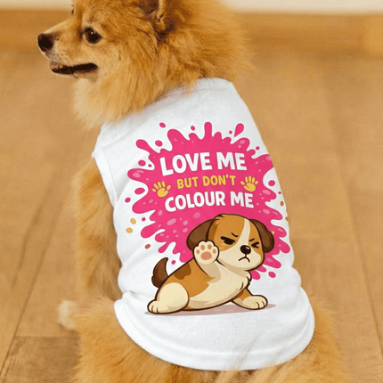 PawTaaka Holi Paws & Play Box – Festive Pet T-Shirt, Toy, Organic Gulal & Treats Kit