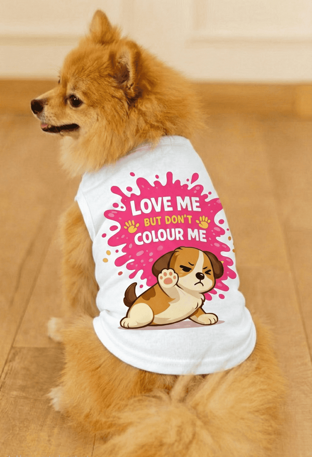 PawTaaka Holi Paws & Play Box – Festive Pet T-Shirt, Toy, Organic Gulal & Treats Kit