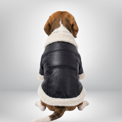 PawTaaka Winter Luxe Leather Jacket with Fur Collar