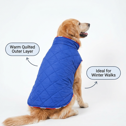 PawTaaka Everyday Reversible Winter Jacket – Blue Quilted & Red Plush Fur