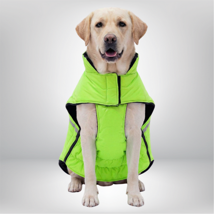 PawTaaka WinterGlow Jacket – Neon Green