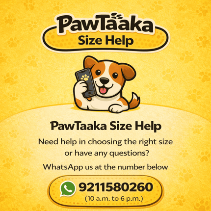 PawTaaka Holi Paws & Play Box – Festive Pet T-Shirt, Toy, Organic Gulal & Treats Kit