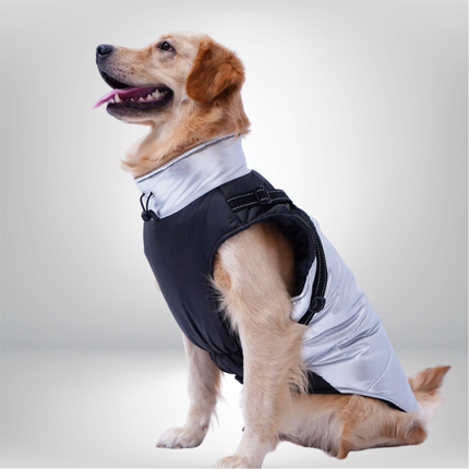 PawTaaka Silver Shield Winter Jacket – Metallic Silver & Black