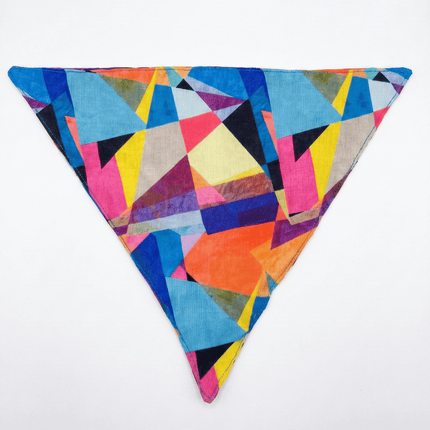 PawTaaka Holi Pawsome Bandana Box