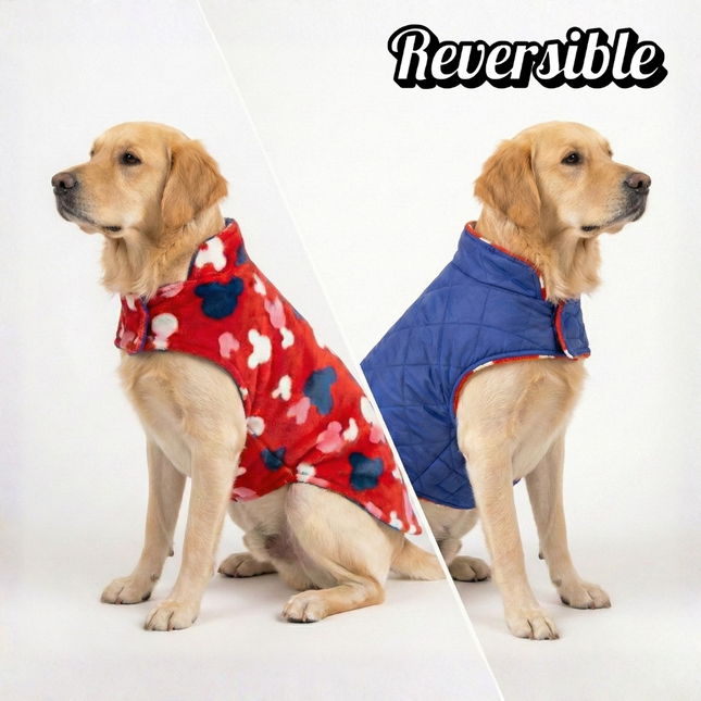 PawTaaka Everyday Reversible Winter Jacket – Blue Quilted & Red Plush Fur