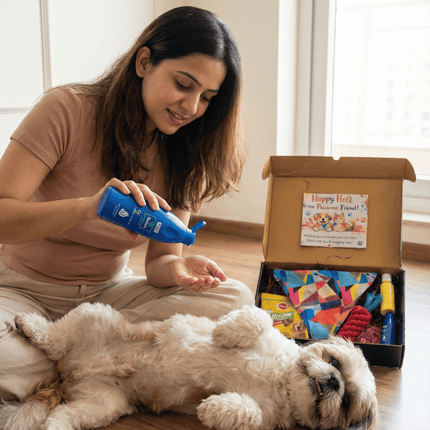 PawTaaka Holi Pawsome Bandana Box