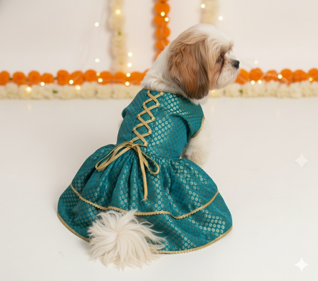 PawTaaka Teal Brocade Pet Lehenga –  Wedding & Festive Dress for Dogs