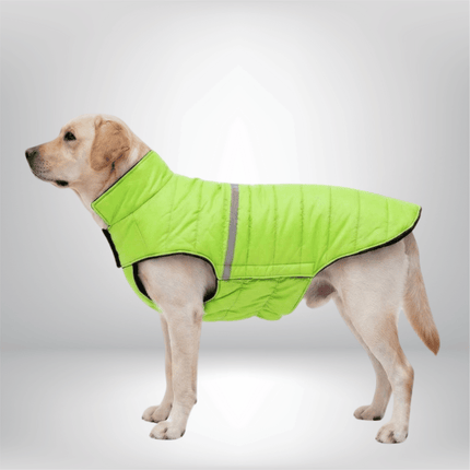 PawTaaka WinterGlow Jacket – Neon Green